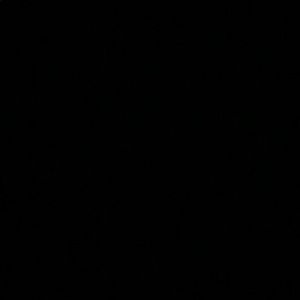 Meet your Posher, Ryann